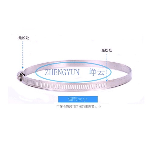 不鏽（xiù）鋼卡箍